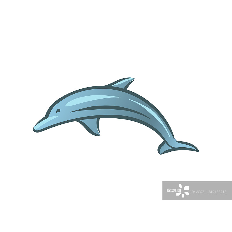 海洋海豚哺乳动物在水下游泳图片素材