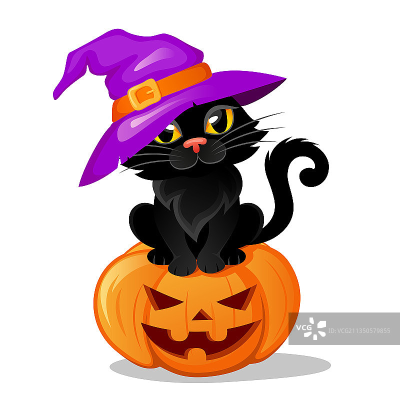 万圣节黑猫戴着女巫帽坐着南瓜图片素材