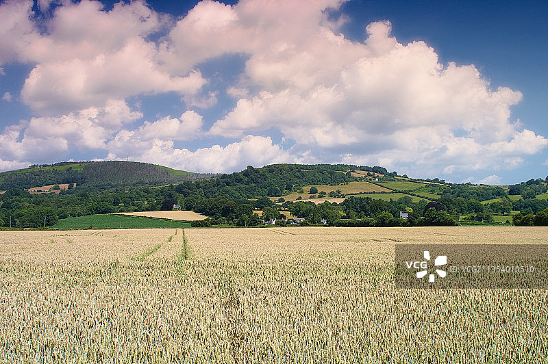 英国，英国，低Machen，天空下的农田风景图片素材