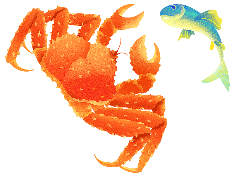 新鲜的帝王蟹螃蟹噪点插画图片素材
