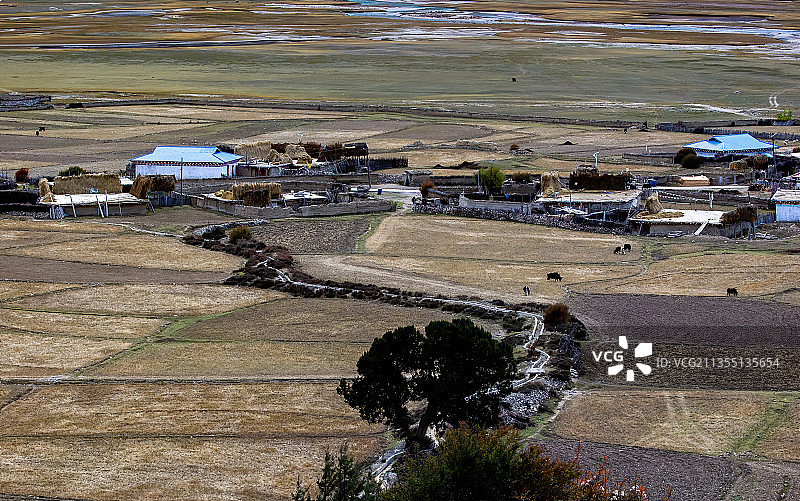 西藏昌都八宿然乌湖秋色图片素材