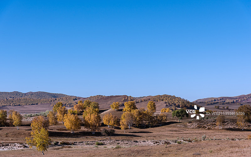 秋天内蒙古乌兰布统坝上草原的山丘草地树林图片素材