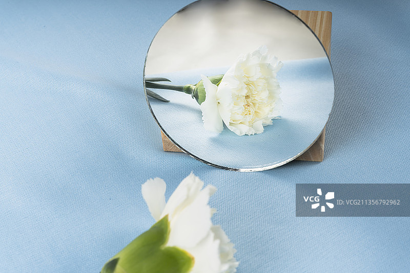 花与在蓝色背景上的圆形镜子反射。图片素材