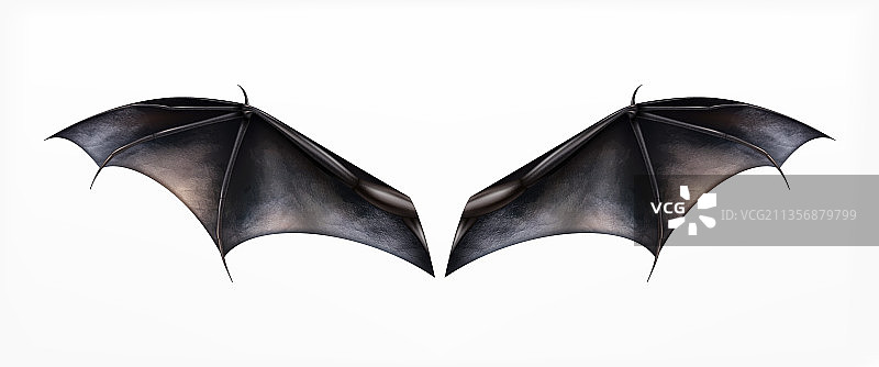 蝙蝠翅膀构成图片素材