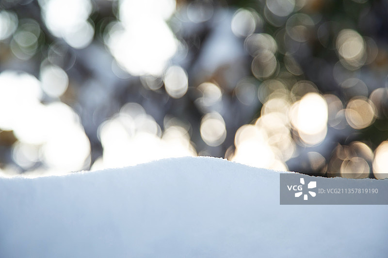 冬日雪后阳光光影斑驳图片素材