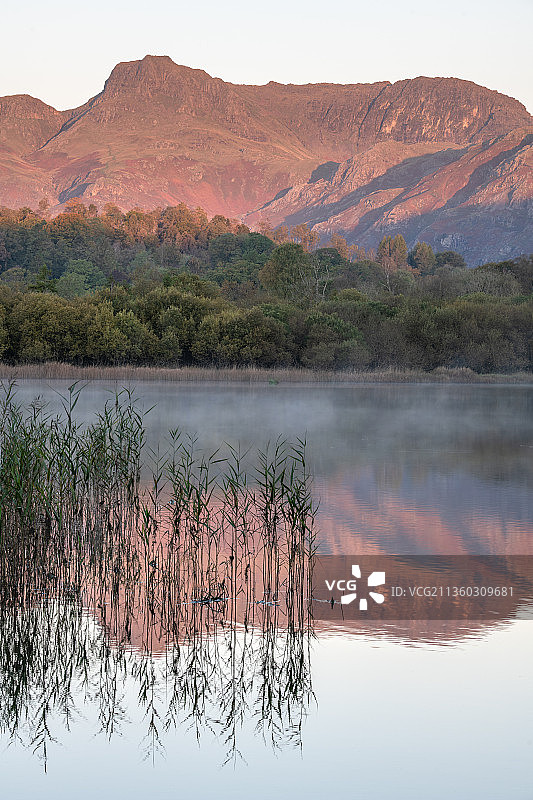 在清澈的天空下的湖泊风景，Elterwater，安布尔塞德，英国，英国图片素材