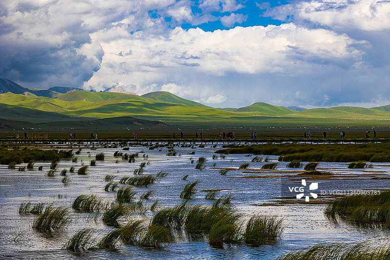 晴朗多云的天气，四川阿坝若尔盖县花湖景区，蓝天白云草原湿地。图片素材