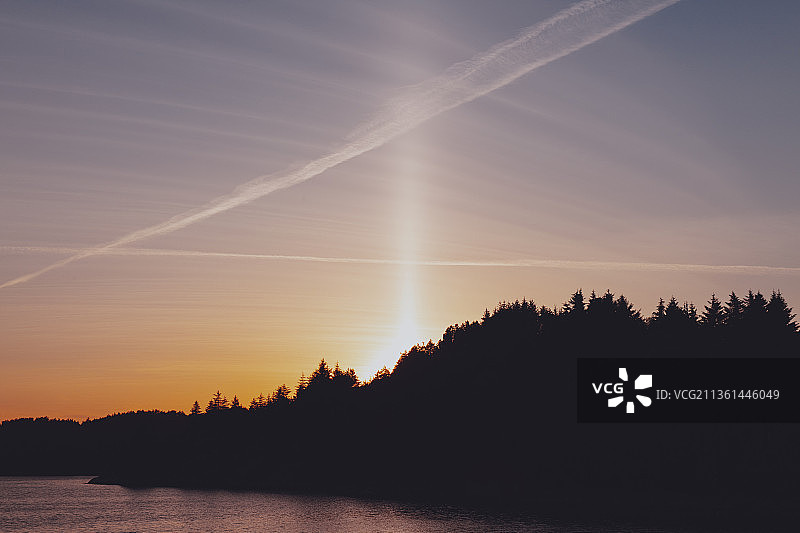 在挪威卑尔根，日落时树木在天空中剪影的风景图片素材