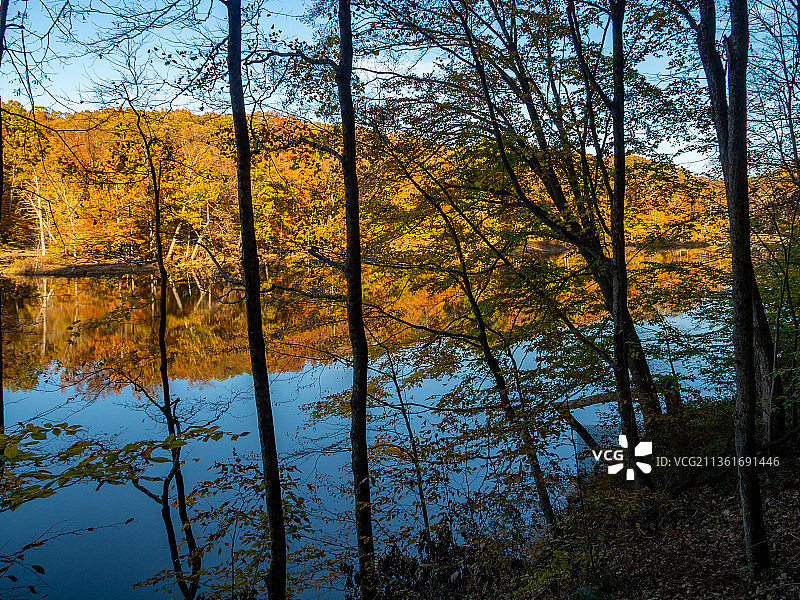 奥格尔湖秋季景观22，布朗县州立公园，美国，美国图片素材