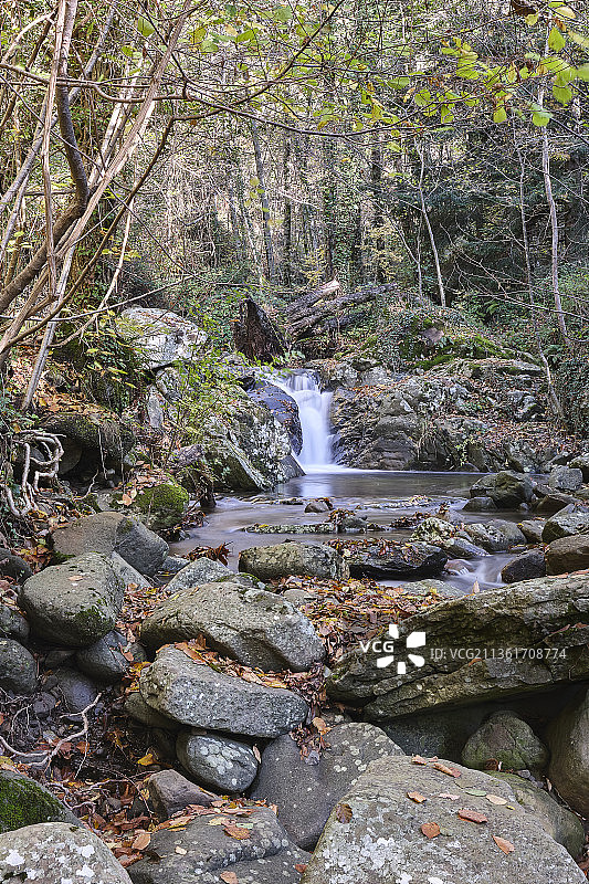 森林中的瀑布，森林中溪流穿过岩石的风景图片素材