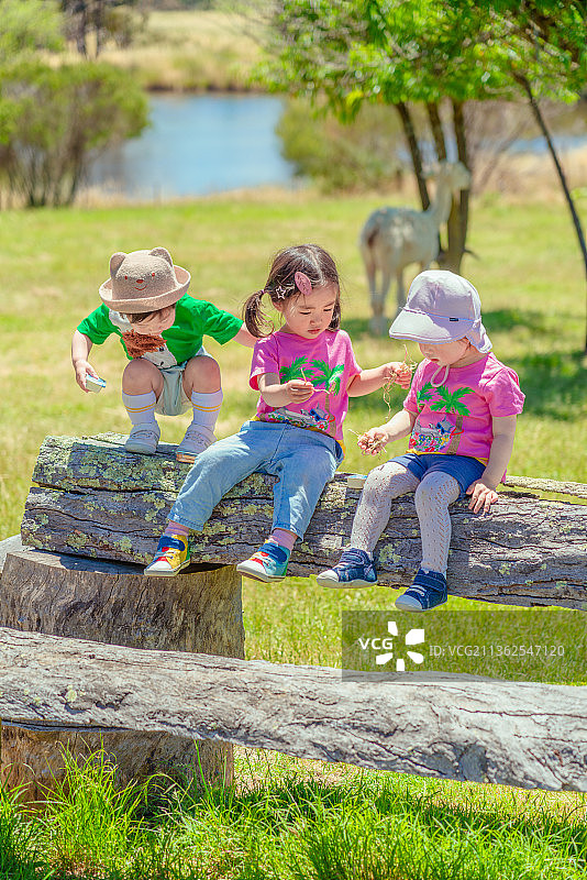 羊驼园湖畔草坪石板长凳上的小孩图片素材