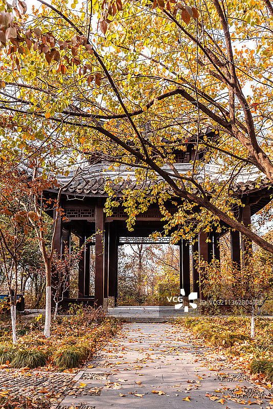 秋天中国南京栖霞山的太虚亭观景台图片素材