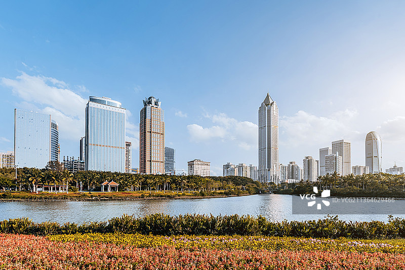 中国海南海口万绿园的花丛和国贸CBD建筑群晴天风光图片素材