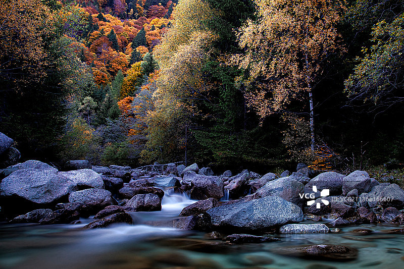 神奇的季节，秋高气爽的森林溪流风光图片素材