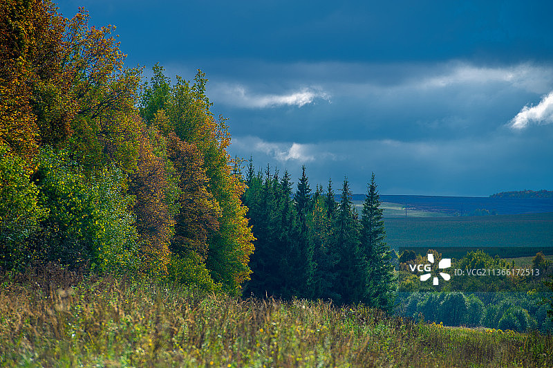 秋天的风景照片，树木在天空下的秋天图片素材