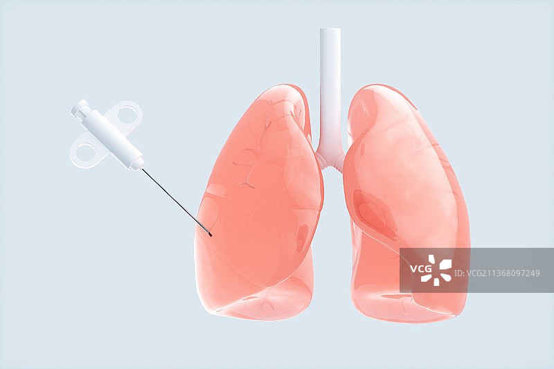 3D渲染的肺部结构图片素材