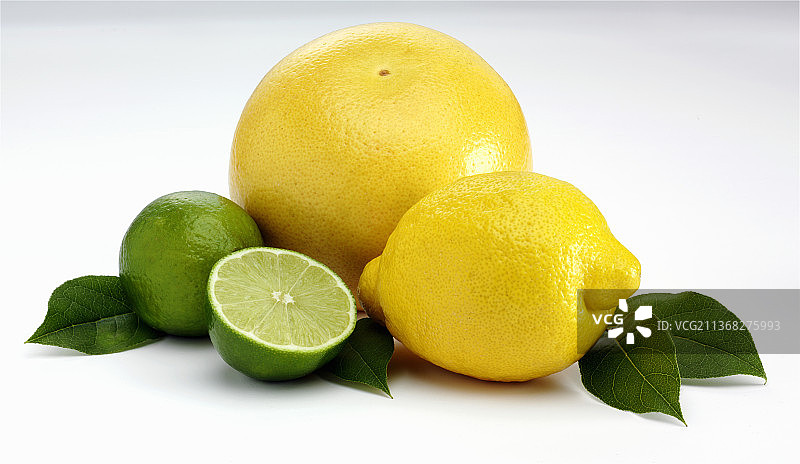 柑橘静物-柚子，柠檬和酸橙与叶子图片素材