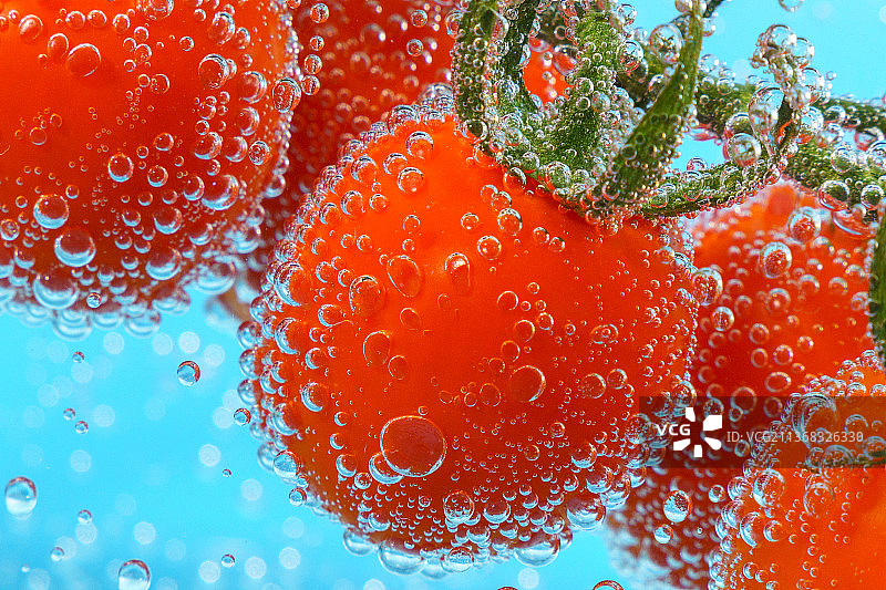 西红柿蔬菜特写水，水下熟透多汁图片素材