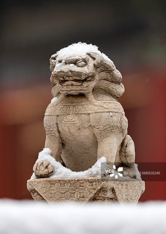 雪后故宫御花园石狮头顶戴雪的唯美雪景图片素材