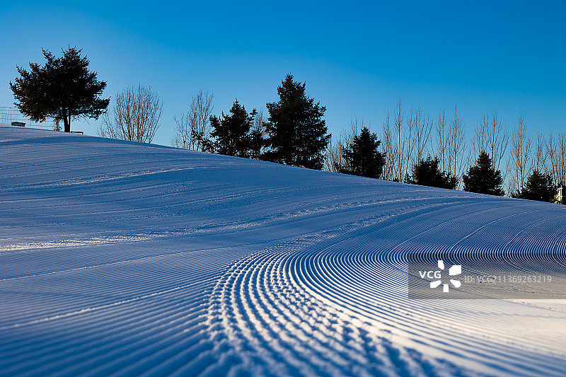 冬天里晴朗的天气，北京昌平军都山滑雪场，清晨的阳光照在长着几棵小树的雪坡上。图片素材