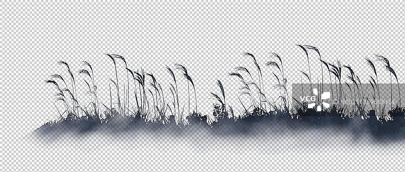 芦苇草丛剪影素材图片素材