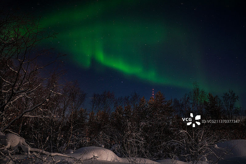 俄罗斯摩尔曼斯克州，美丽的极地夜晚。夜晚，冰雪覆盖的树木映衬着天空图片素材