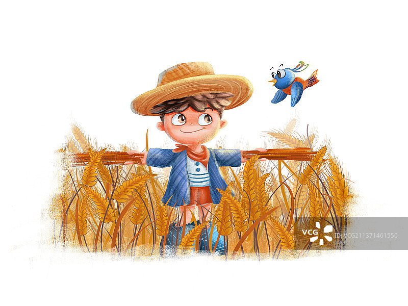伪装成稻草人的小男孩站在小麦田上吓唬鸟儿图片素材