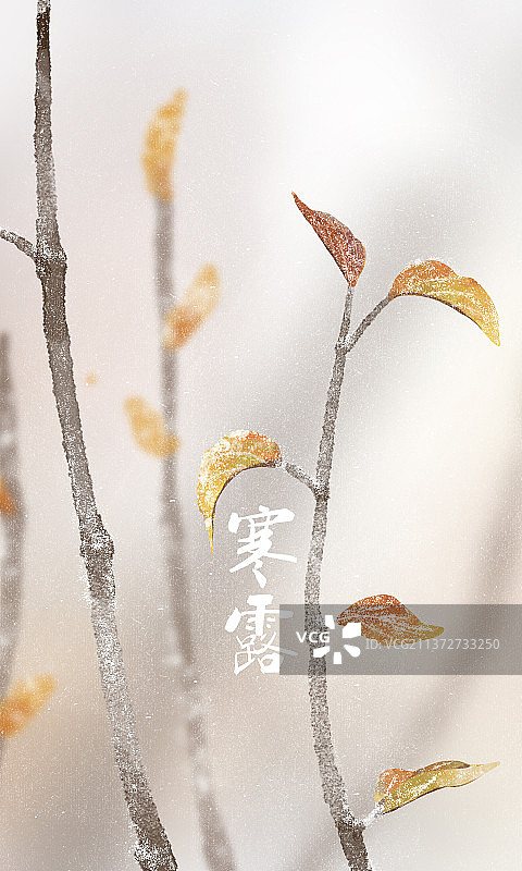 户外结霜的叶子图片素材