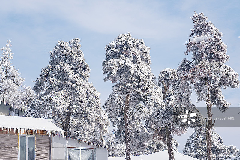 江西省九江市庐山5A风景区冬季雪景风光图片素材