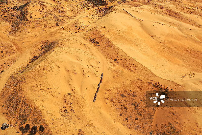 沙海行舟+内蒙古鄂尔多斯市准格尔旗库布齐沙漠旅游景区图片素材