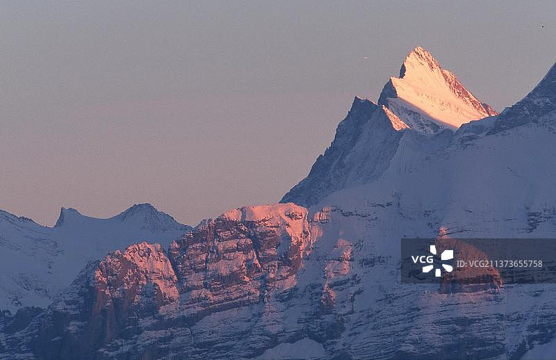 阿尔卑斯峰，伯尔尼高原(欧洲)(风景)(山脉)(景观)(水平)，从尼德霍恩俯瞰，瑞士，欧洲图片素材