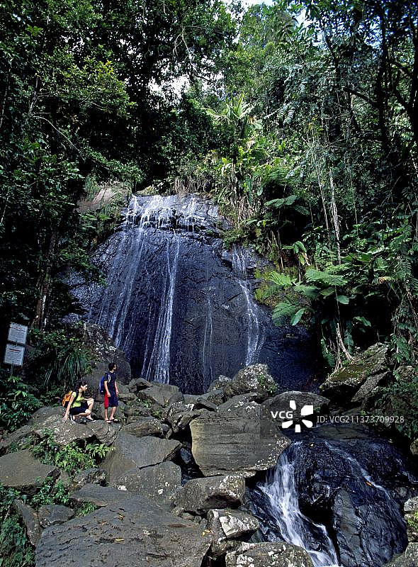 瀑布，云雀国家公园，波多黎各，加勒比海，北美图片素材