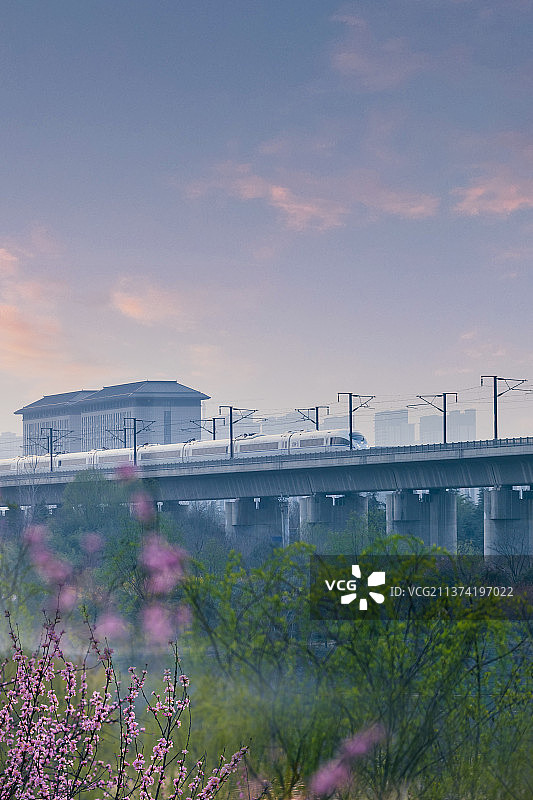 河南省洛阳市伊河湿地公园春暖花开图片素材