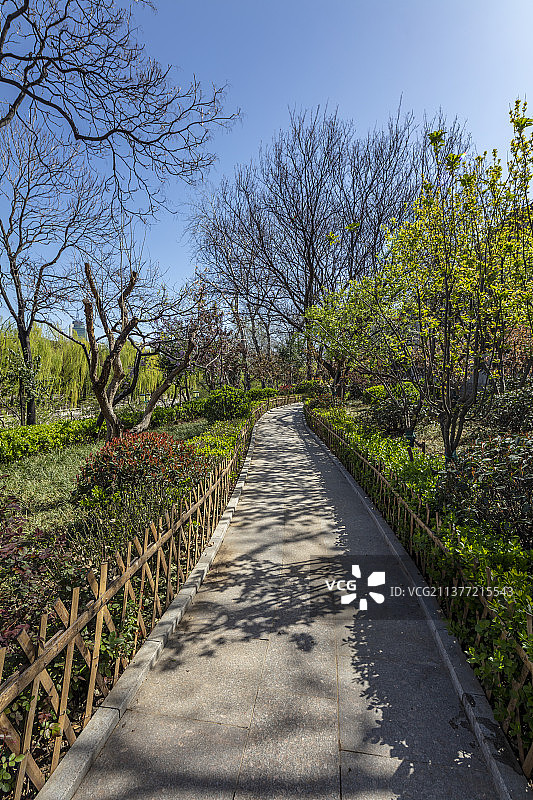 中国山东省济南环城公园里弯弯的小路图片素材