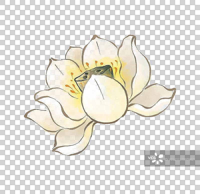 白色莲花插画元素图片素材