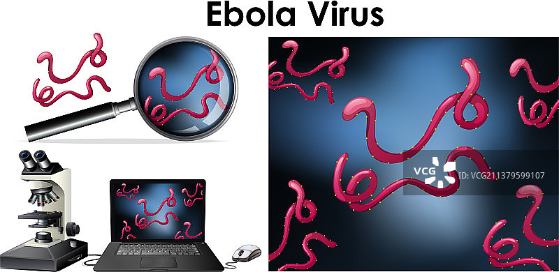 关闭分离物埃博拉病毒图片素材