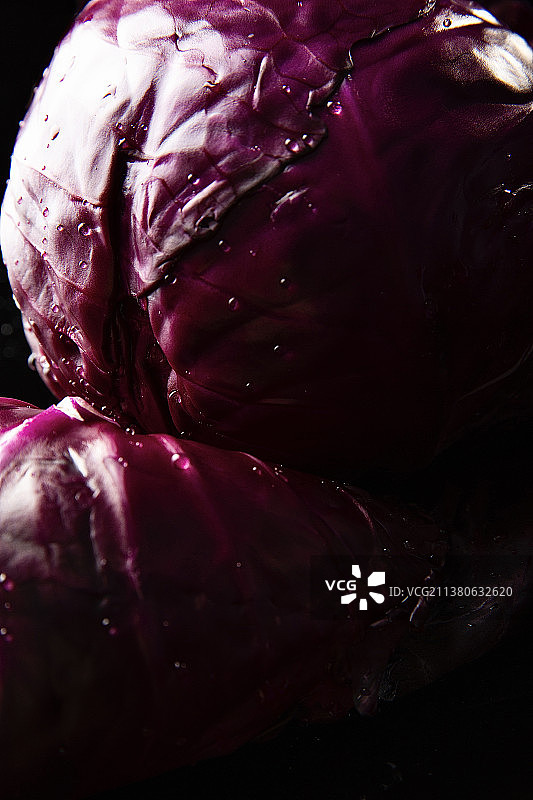 蔬菜创意艺术肖像静物：紫甘蓝图片素材