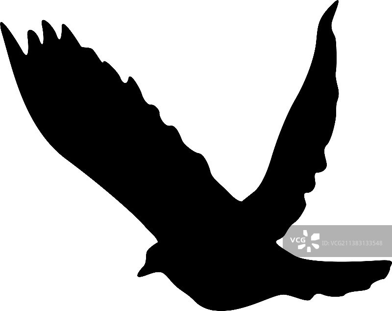 爱或和平的概念是鸽子的剪影图片素材