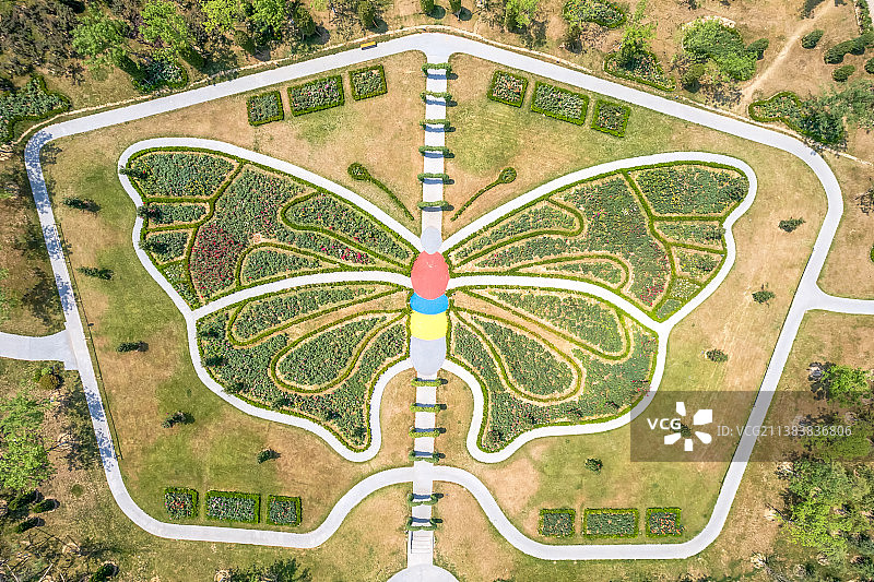 航拍中国河南郑州公园内蝴蝶造型的花坛图片素材