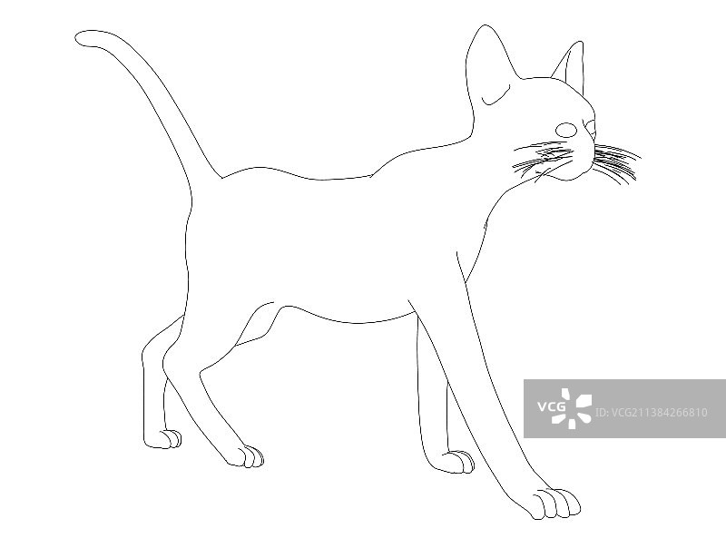 一只行走的猫的轮廓从黑线孤立图片素材