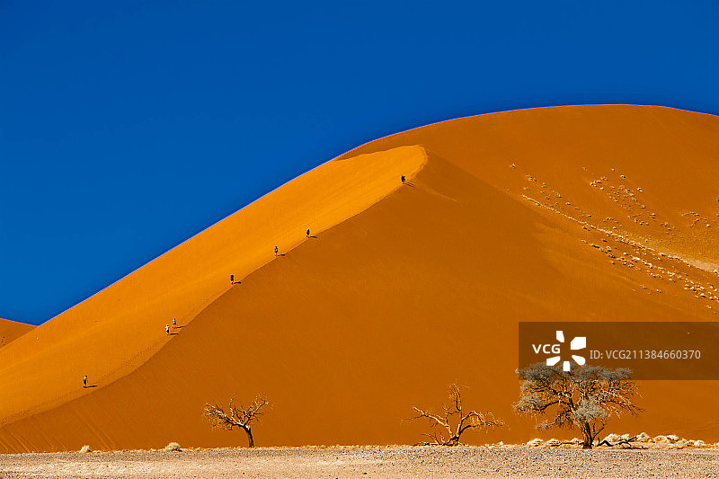 在晴朗的蓝天下的沙漠风景，沙丘Sossusvlei，纳米比亚图片素材