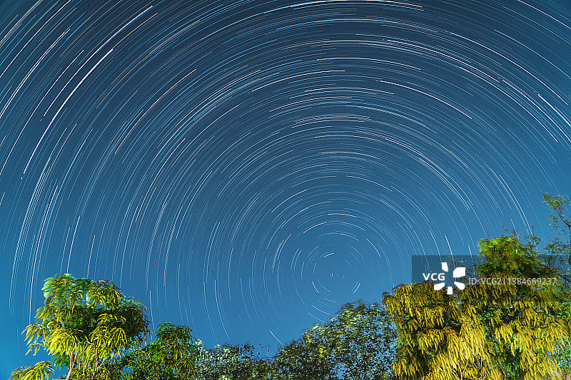 在森林的星径，低角度的树木对星场在晚上，普里亚，西孟加拉邦，印度图片素材