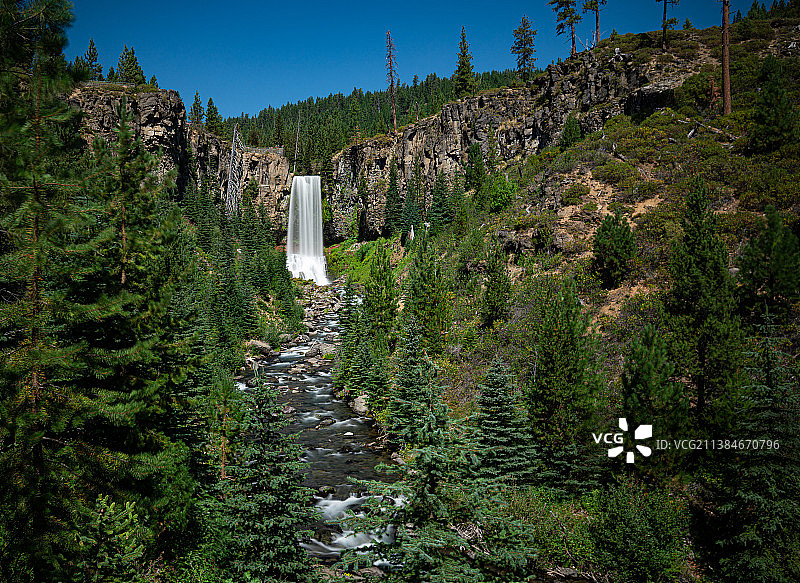 风景森林对晴朗的天空，图马洛瀑布，俄勒冈州，美国，美国图片素材
