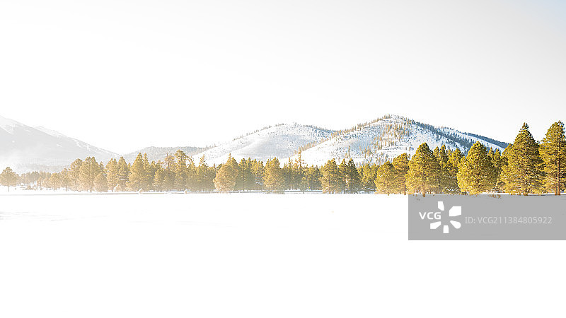 在晴朗的天空下，雪山的风景，弗拉格斯塔夫，亚利桑那州，美国，美国图片素材