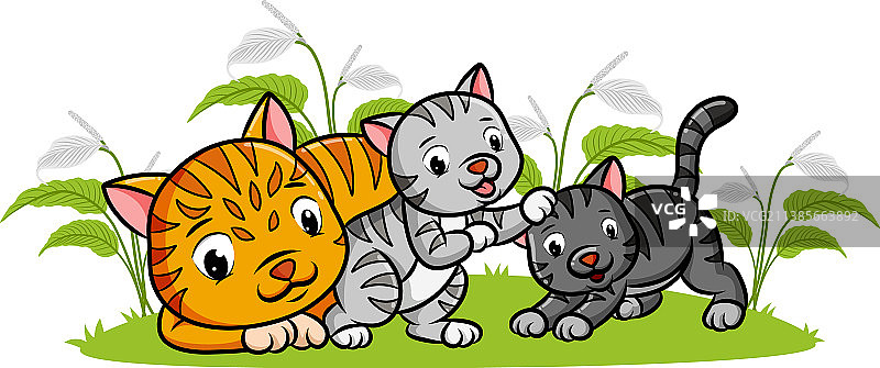 三只猫在花园里一起玩耍图片素材