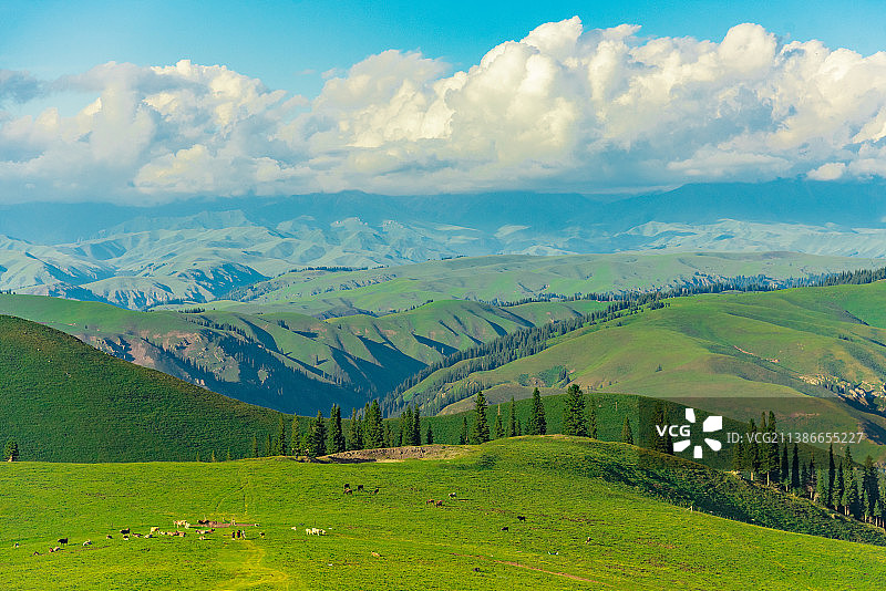 晴朗的天气，新疆巴音郭楞蒙古自治州独库公路巴音布鲁克草原。图片素材