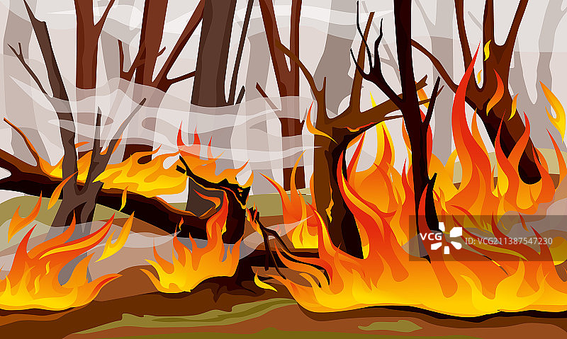 森林火火焰成分图片素材