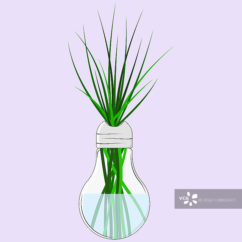 绿草的茎在一个灯状的花瓶图片素材