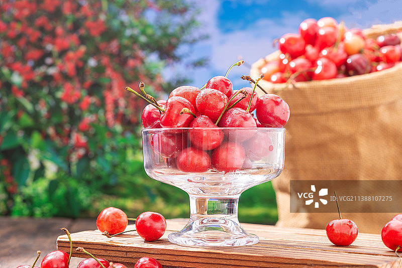 夏季复古木纹桌上的新鲜采摘的红色樱桃图片素材