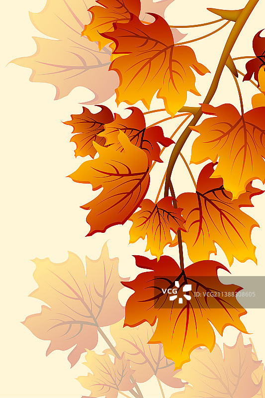简约风格秋季红色枫叶图片素材
